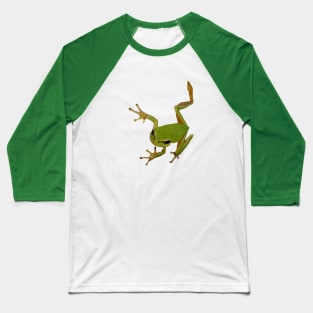 European Green Tree Frog Isolated Baseball T-Shirt